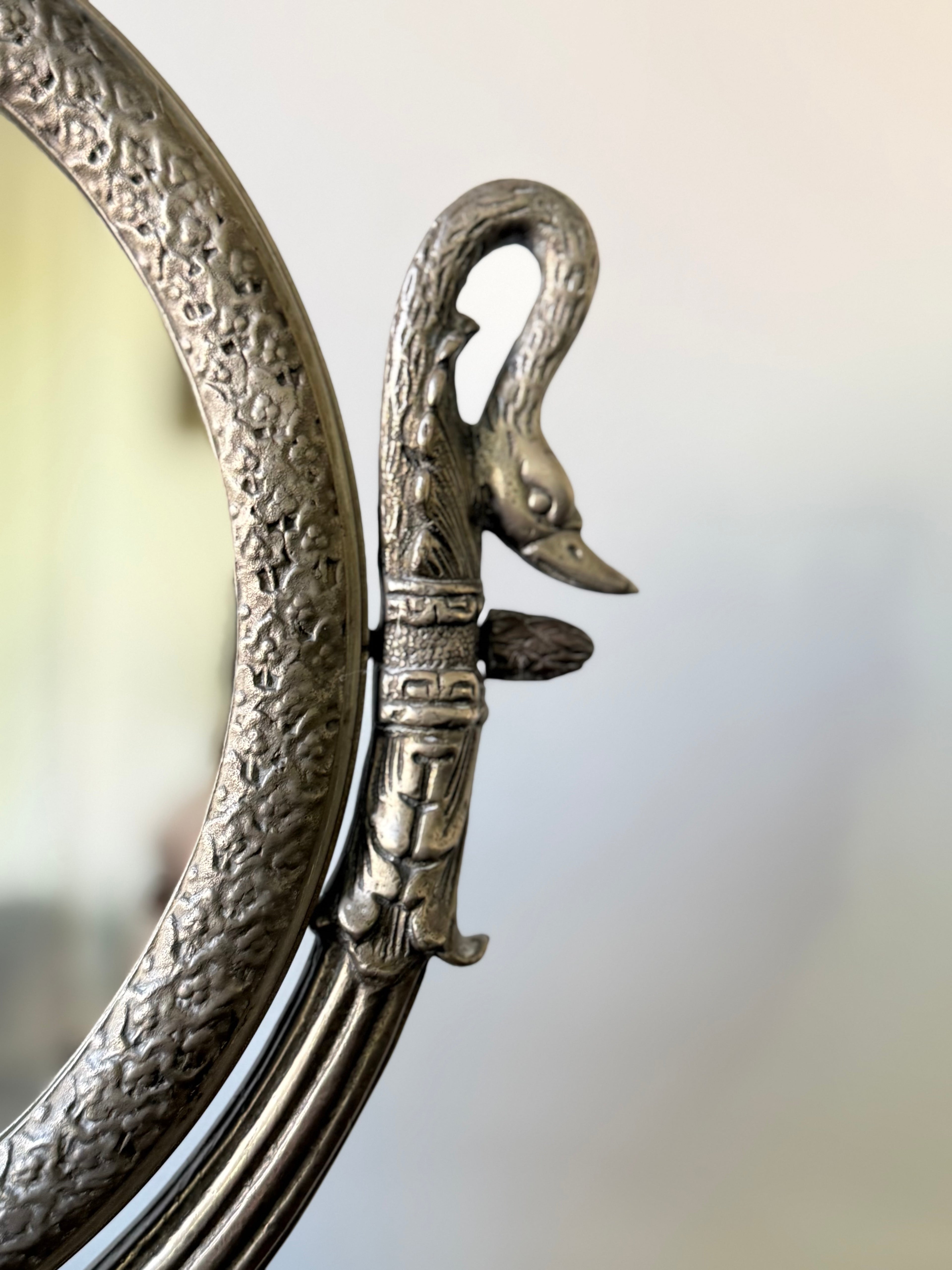Swan Lake Vanity Mirror