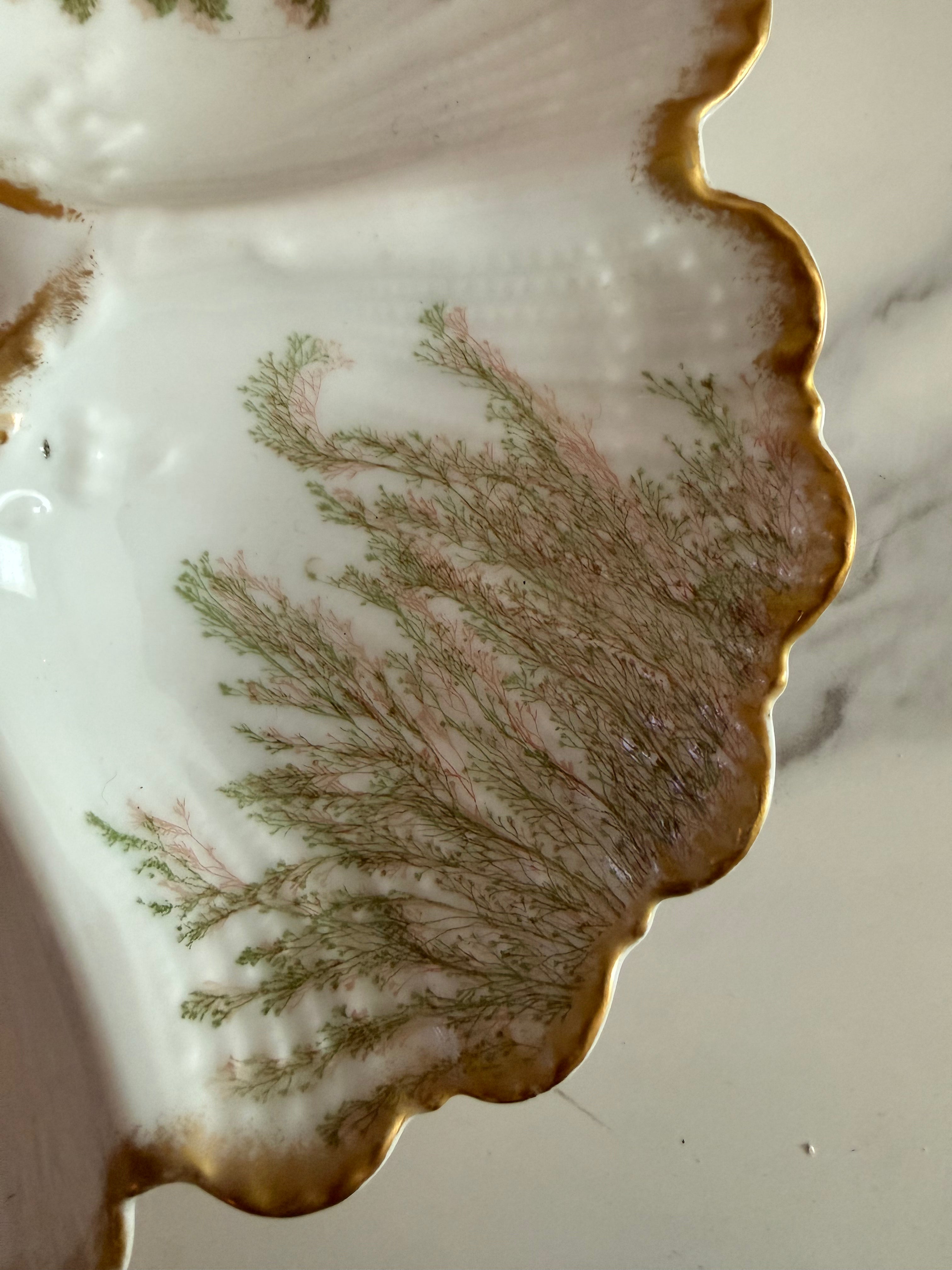 Limoges Hand-Painted Sea Fern Oyster Plate
