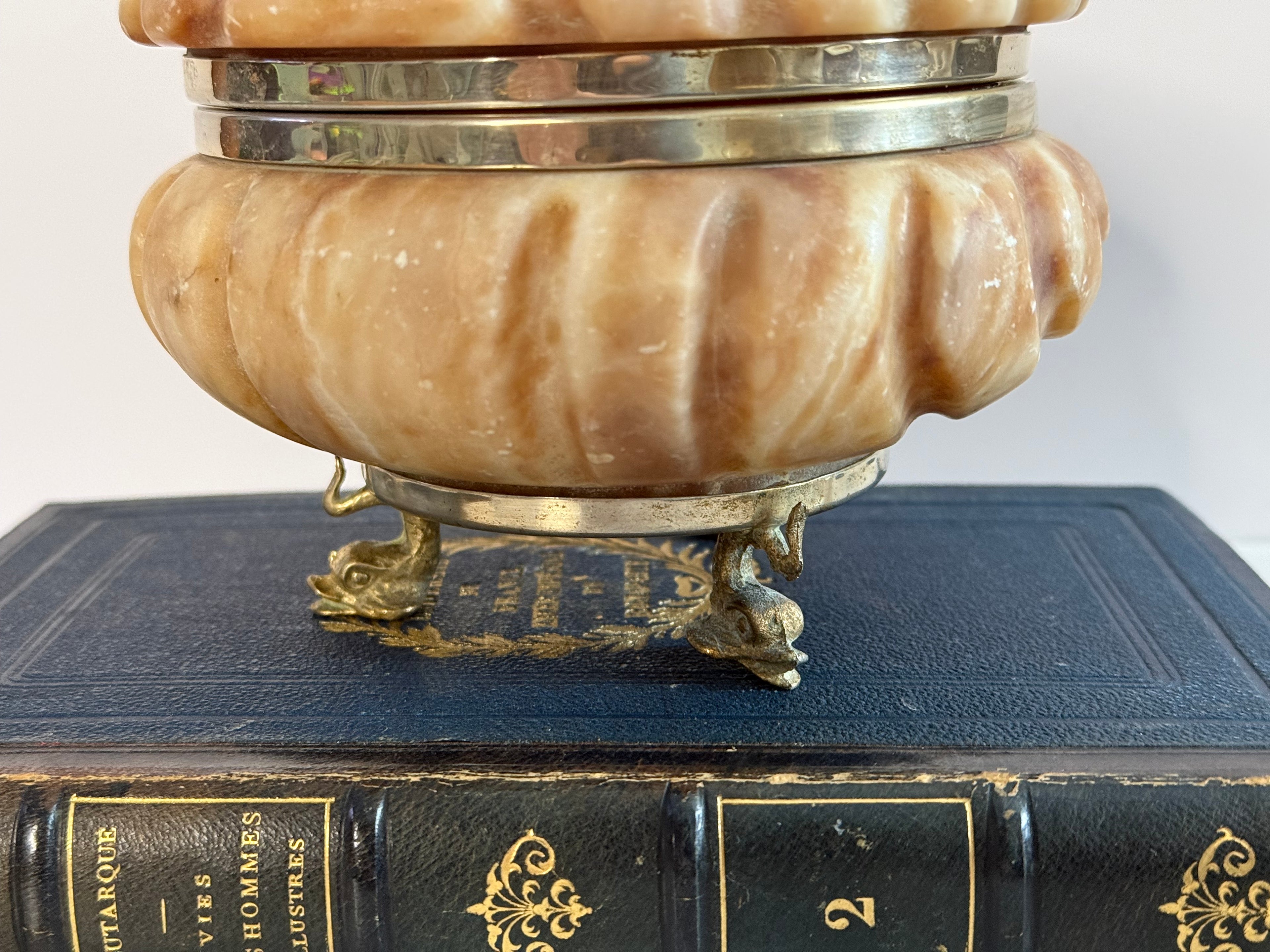 Lidded Pink Alabaster Shell Box with Dolphin Feet