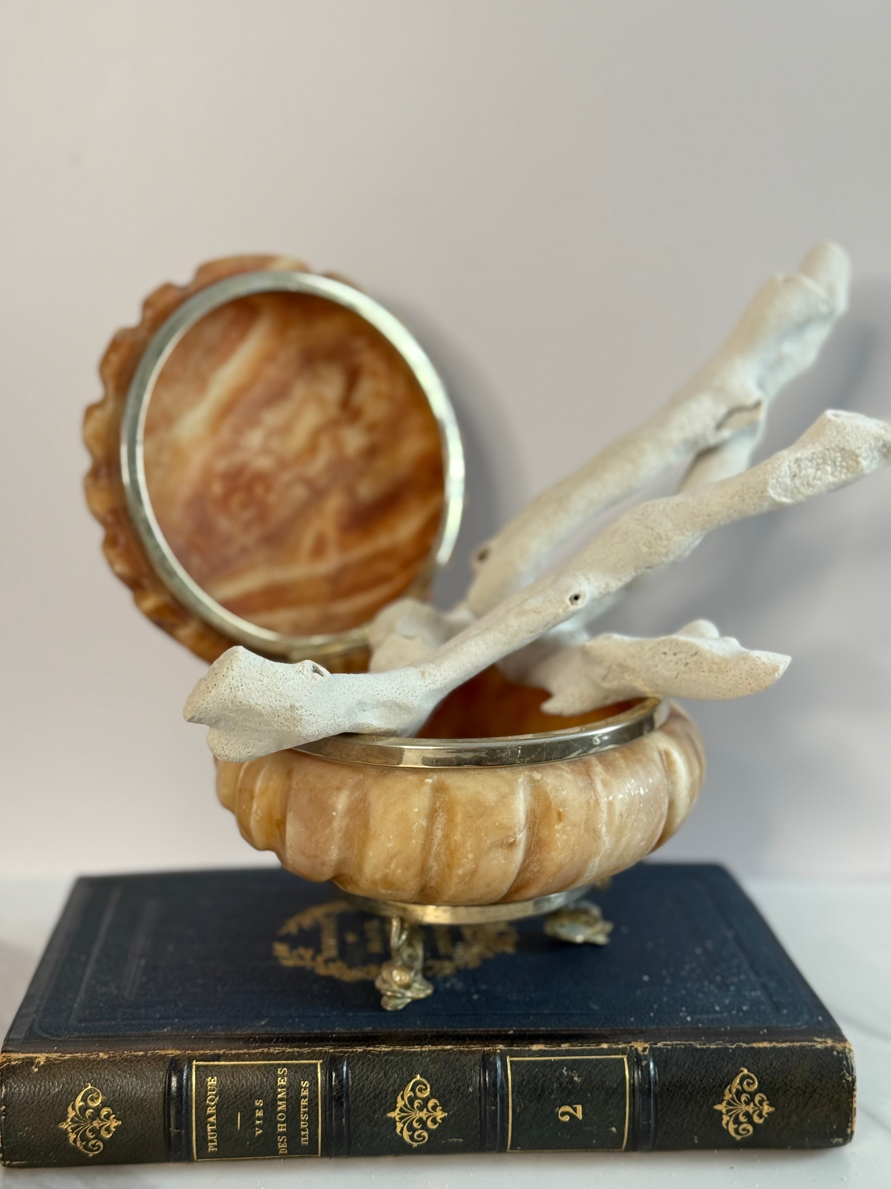 Lidded Pink Alabaster Shell Box with Dolphin Feet