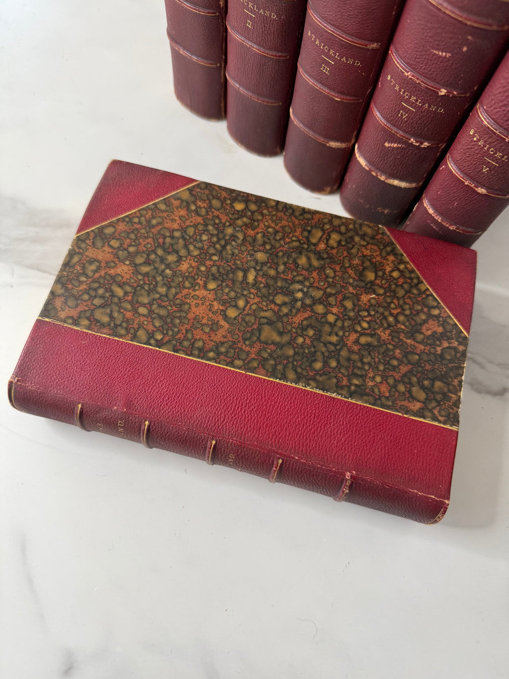 Lives of the Queens of England by Agnes Strickland