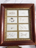 Late 19th century engraver’s calling card sample display